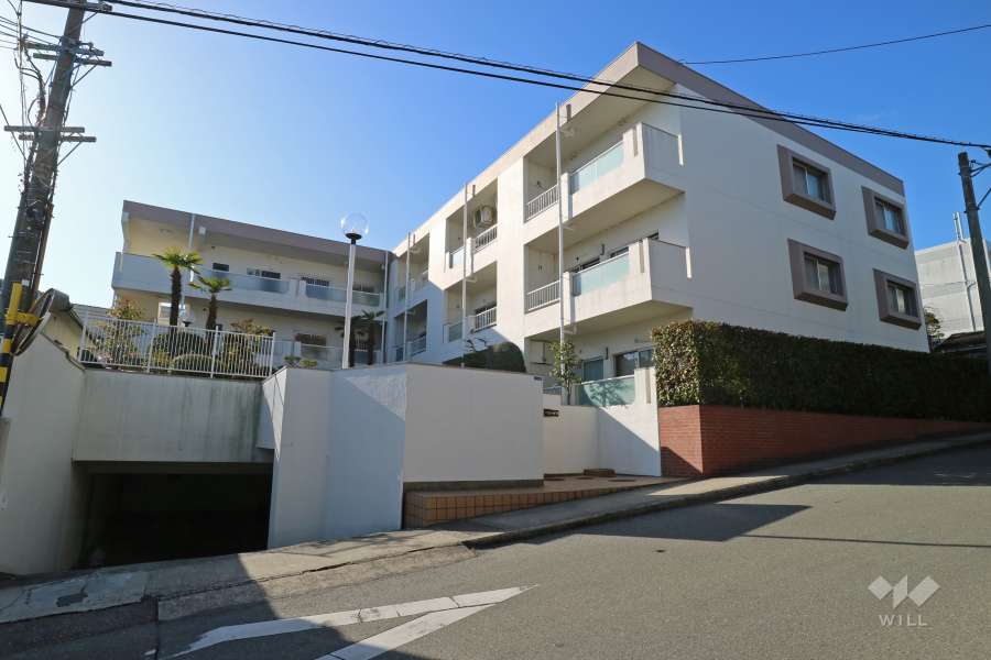逆瀬川向陽ハイツの外観（北東側から）