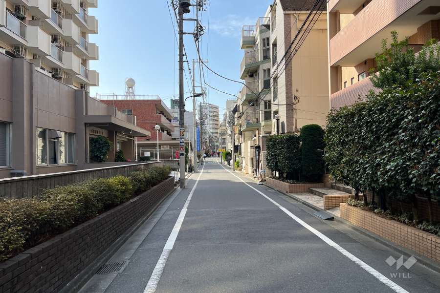 敷地東側の前面道路