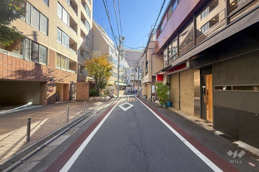 敷地南側の前面道路（西側から）