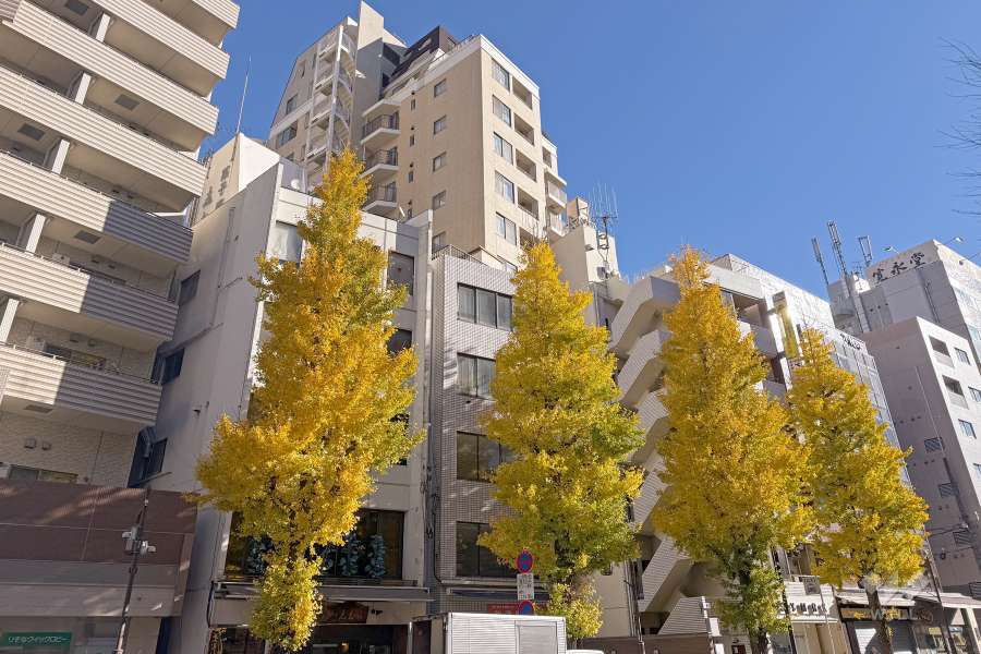 グランアビテ目白ステーションフロントの外観（南西側から）