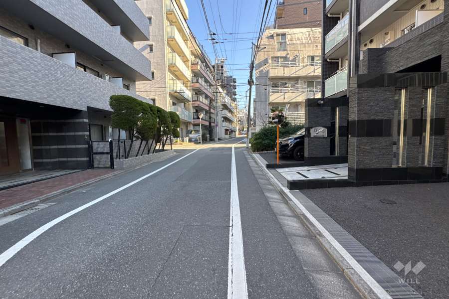 敷地の南東側前面道路（南西側から）