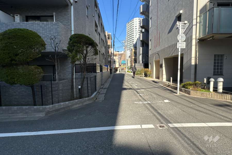 敷地の北東側前面道路（南東側から）