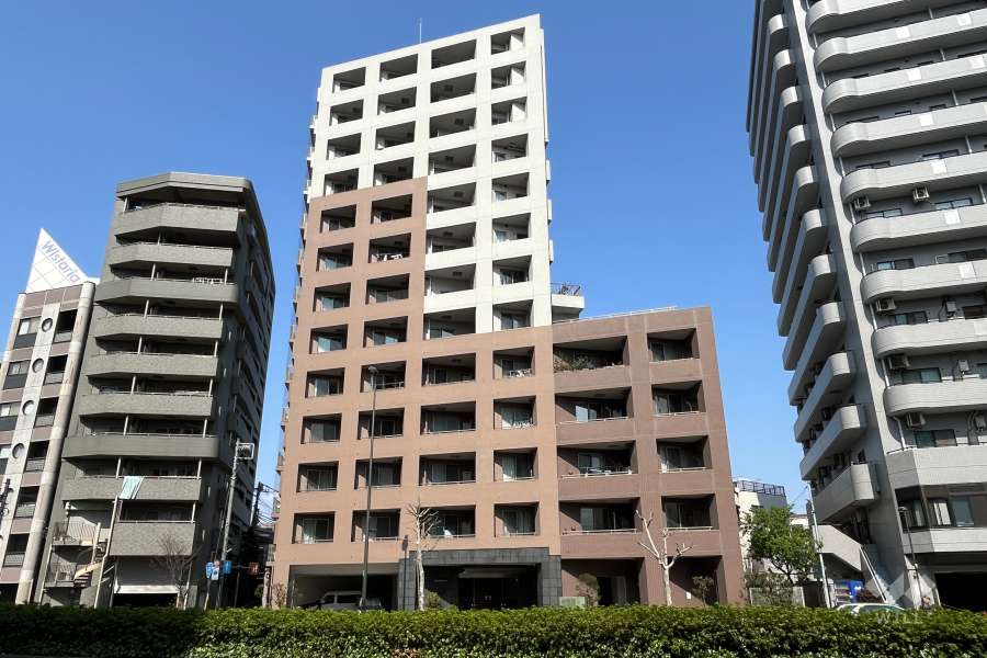 日神パレステージ西巣鴨の外観（南側から）　