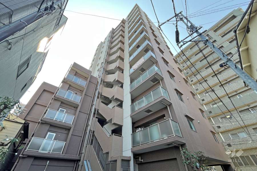 日神パレステージ西巣鴨の外観（北東側から）　
