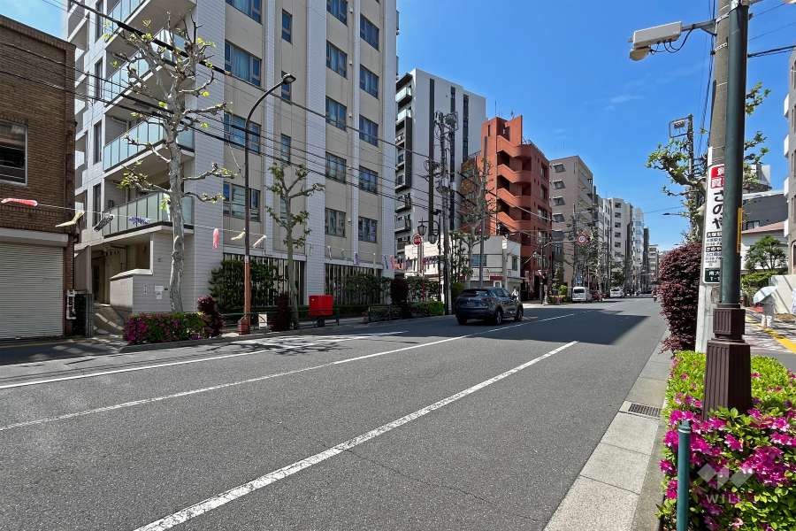 敷地の北東側前面道路はプラタナス通りです（南東側から）。