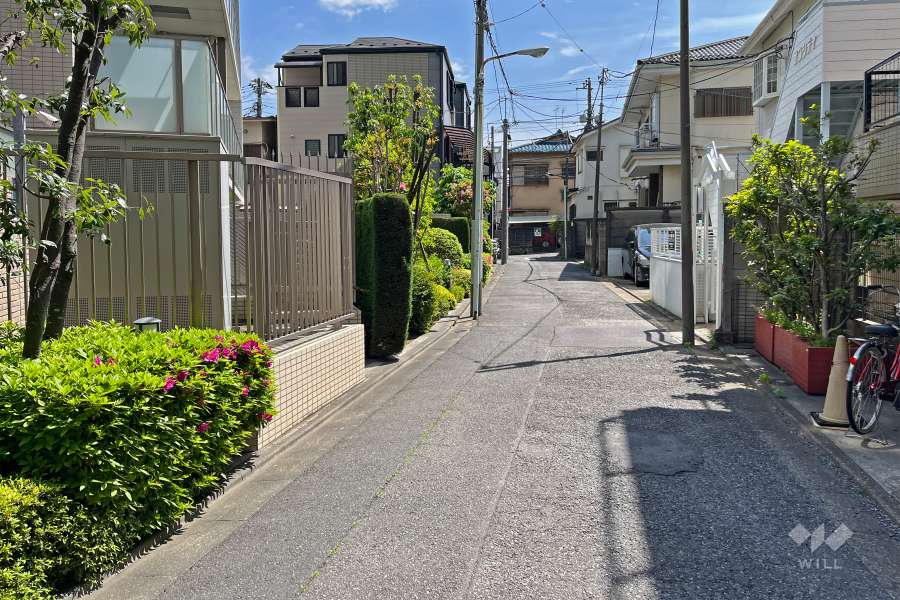 敷地の西側前面道路（北側から）