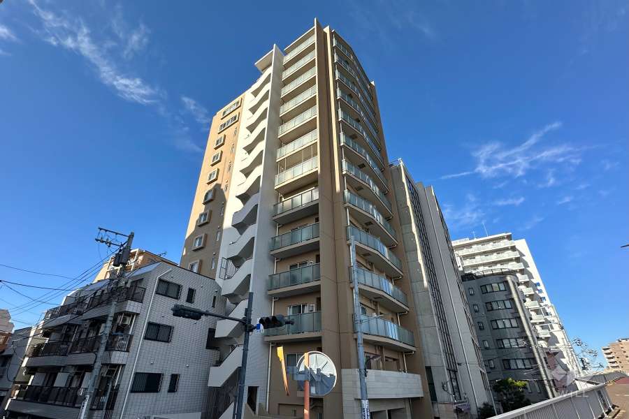 ロジュマンジャンティ椎名町の外観（南東側から）