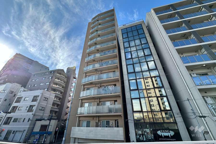 ロジュマンジャンティ椎名町の外観（北東側から）