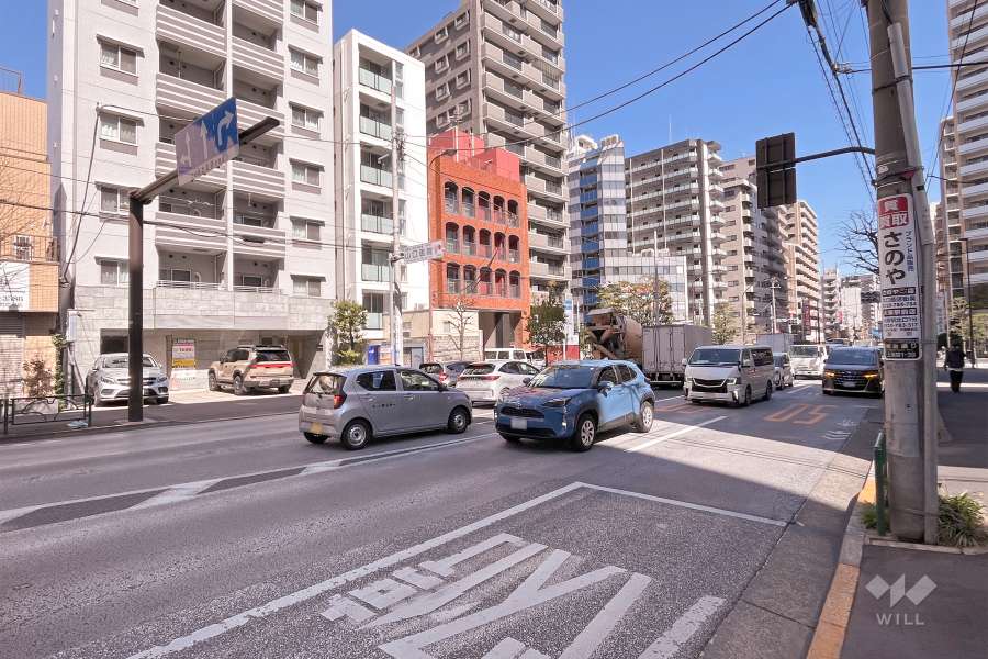 敷地南東側の前面道路（南西側から）