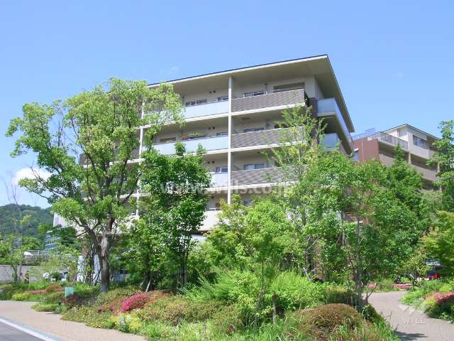 敷地内はたいへん緑豊か