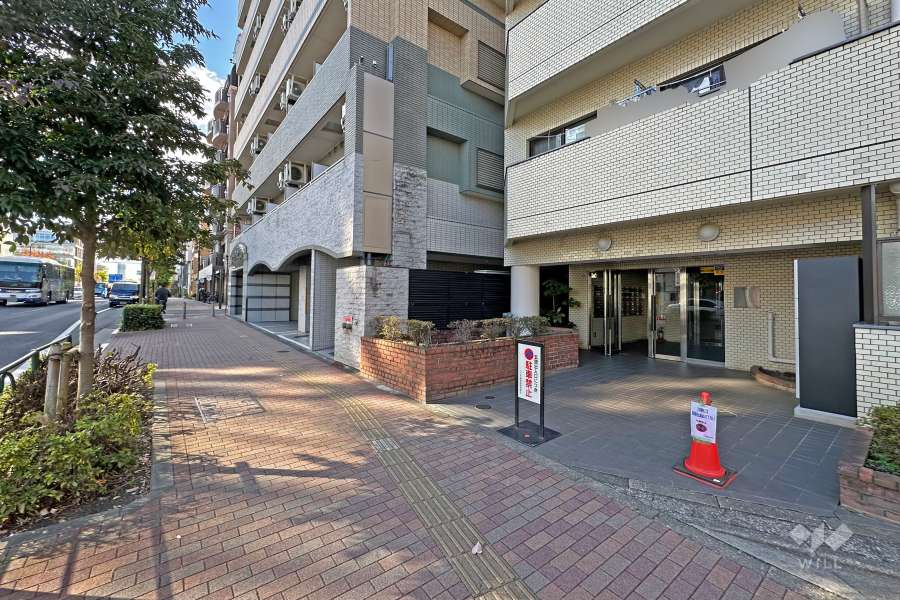 敷地の東側前面道路は目白通りです（北側から）。
