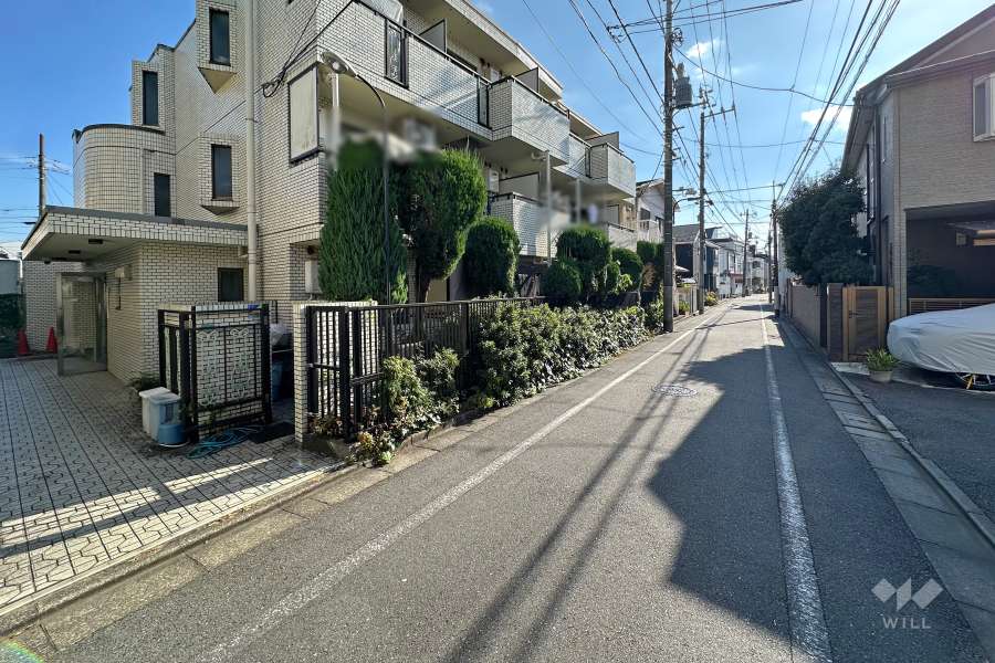 敷地の西側前面道路（北側から）