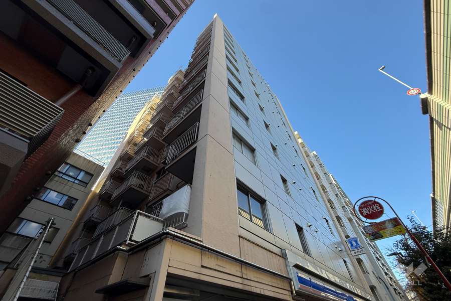 ドミール池袋の外観（南東側から）