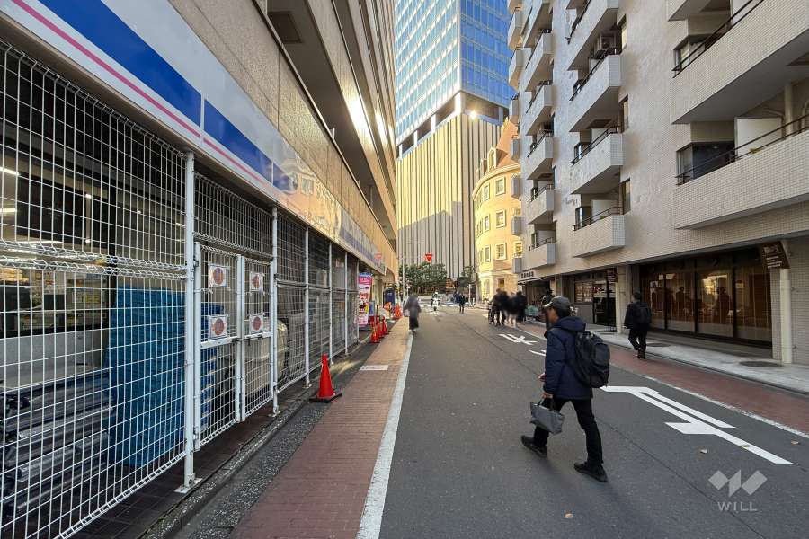 敷地の北側前面道路（西側から）