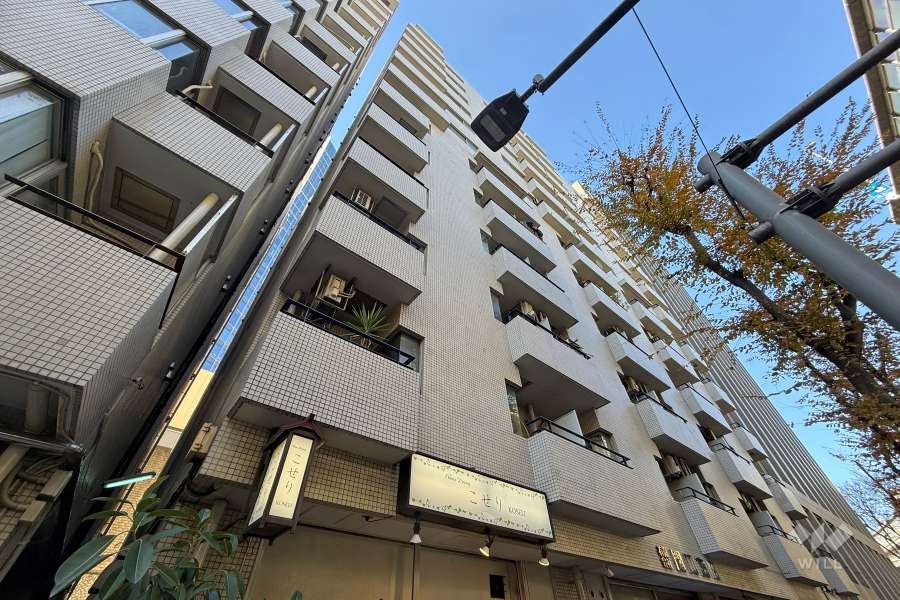 ニュー池袋ハイツの外観（南東側から）