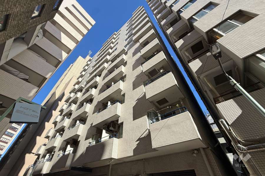 ニュー池袋ハイツの外観（南西側から）