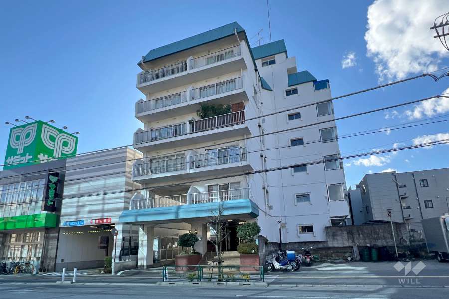 ハイネス大塚の外観（北東側から）