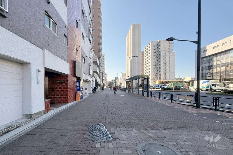 敷地西側の前面道路（北側から）