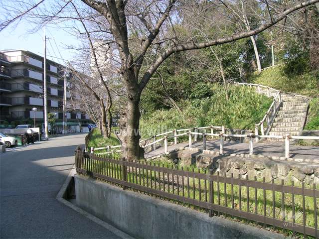 敷地の北東側には緑地があります。