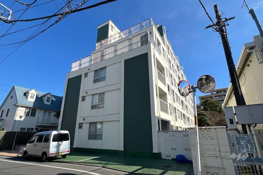 染井コーポラスの外観（西側から）