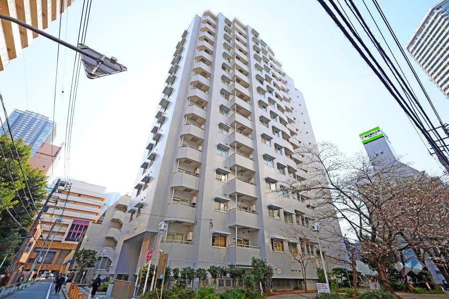 東池袋ハイツ弐番館の外観（北東側から）