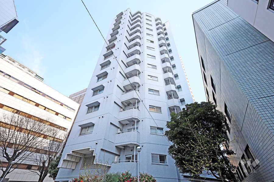 東池袋ハイツ弐番館の外観（西側から）