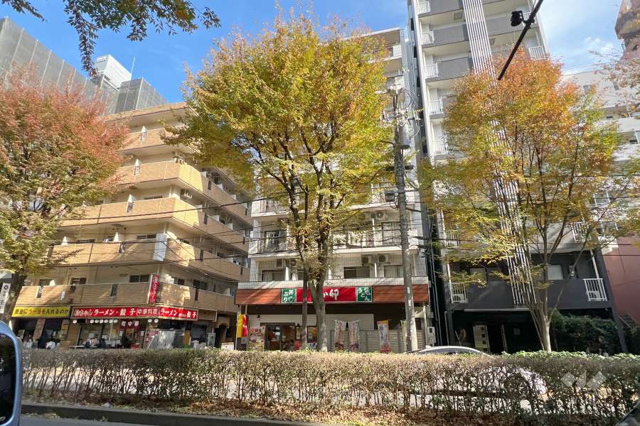 エリゼー池袋の外観（南西側から）