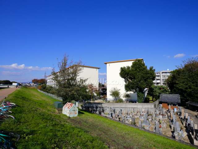 田能団地の遠景