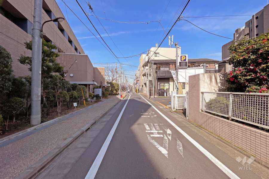 敷地西側の前面道路（南側から）