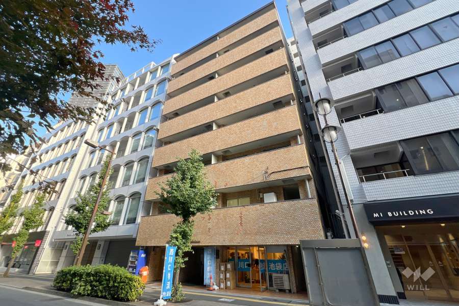 ライオンズマンション南池袋の外観（南西側から）