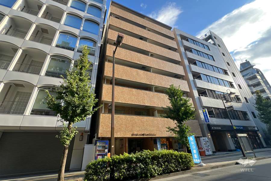 ライオンズマンション南池袋の外観（北西側から）