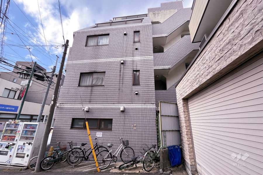光建ヴォルフスガルテン護国寺の外観（南東側から）