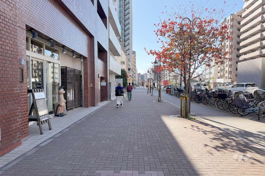 敷地西側の前面道路（北側から）