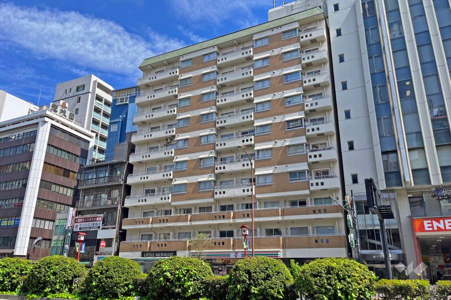 巣鴨陽光ハイツの外観（南側から）