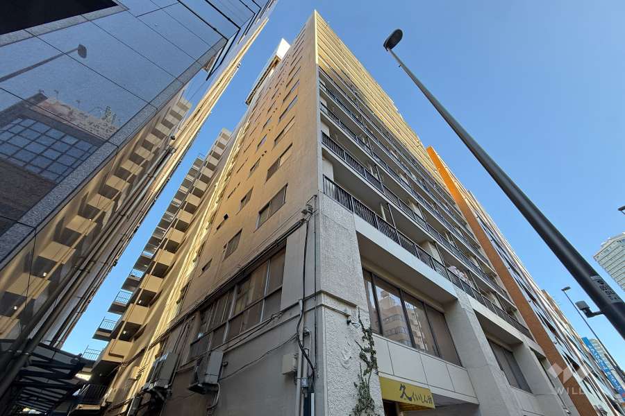 池袋パークハイツの外観（北西側から）