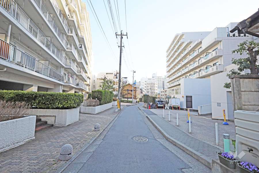 敷地西側の前面道路