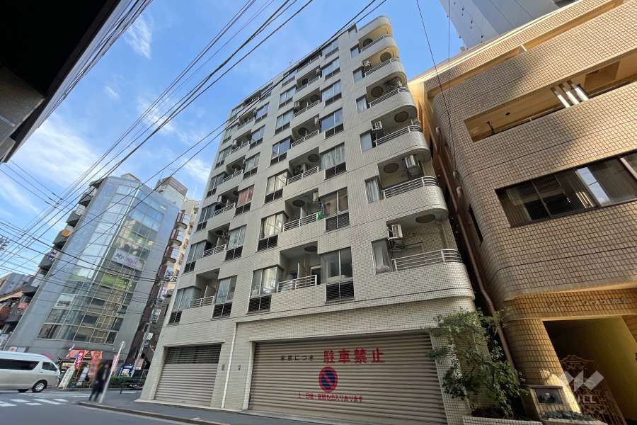 東建シティハイツ池袋の外観（南西側から）