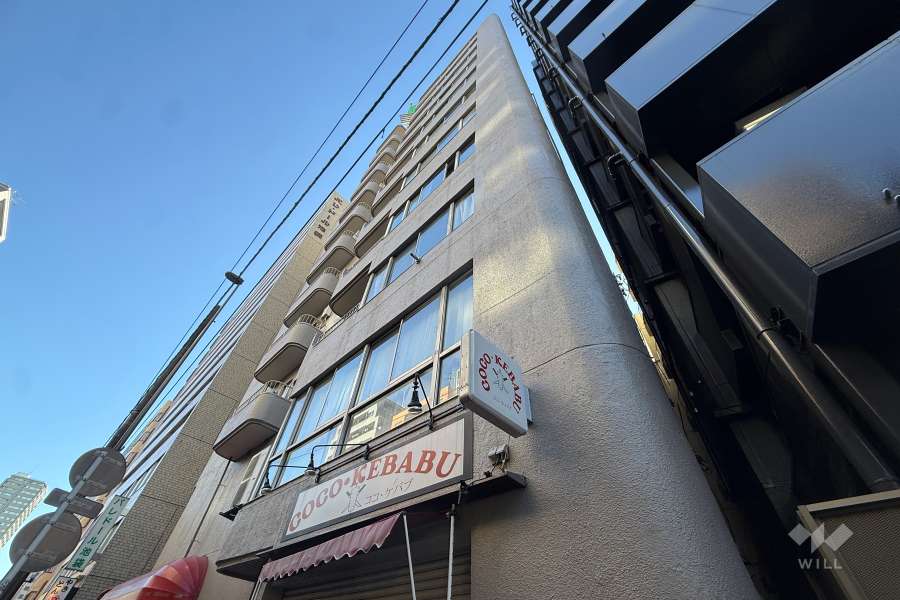 東カングランドマンション池袋キャッスルの外観（北側から）