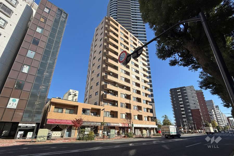 藤和東池袋コープの外観（西側から）　