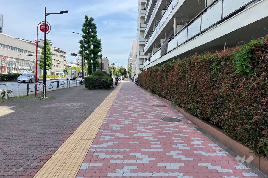 敷地の北東側前面道路（北西側から）