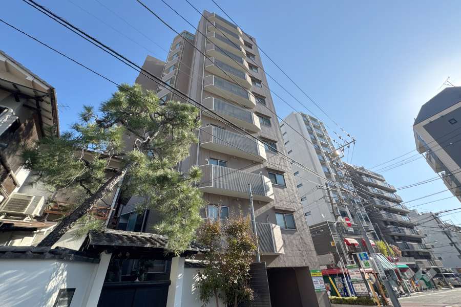 日神パレステージ大塚の外観（南西側から）