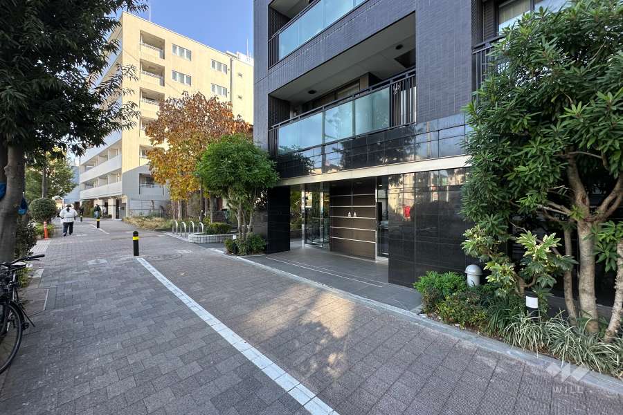 敷地北側の前面道路