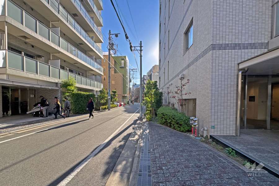 敷地の南西側前面道路（北西側から）