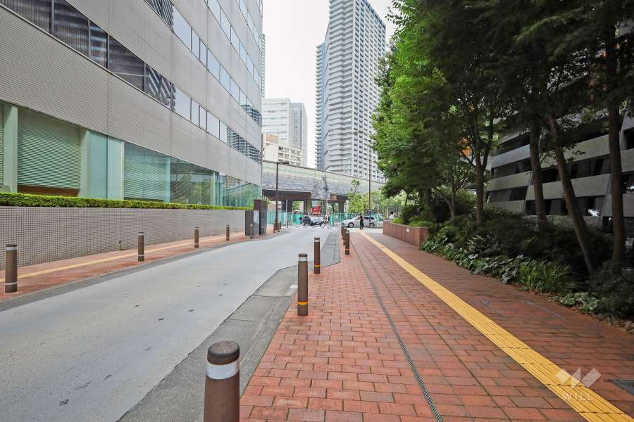 敷地北側の前面道路(西側から)