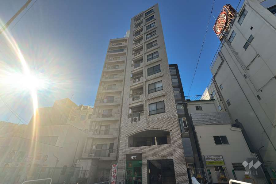 GSハイム巣鴨の外観（北側から）