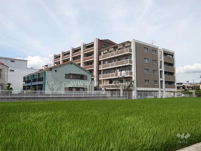 周辺は田畑が点在するのどかな住宅地です。