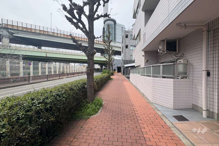 敷地南側の前面道路（東側から）
