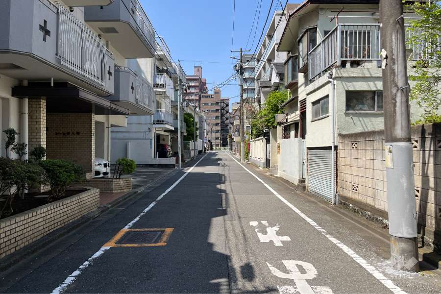 敷地の北東側前面道路（南東側から）