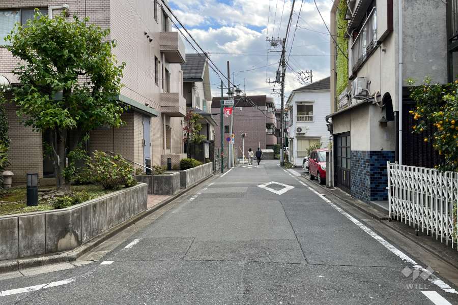 敷地の西側前面道路（北側から）