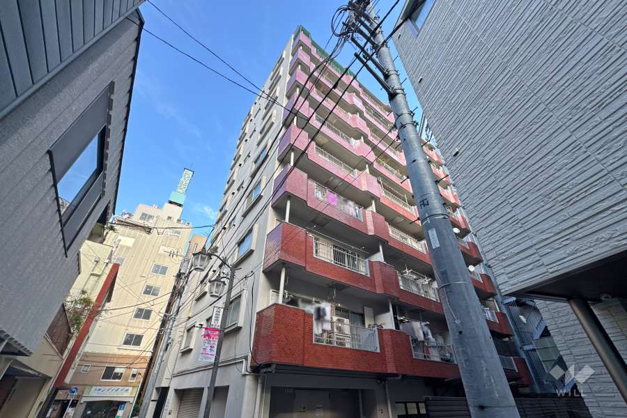 サンサーラ大塚の外観（南西側から）